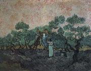 Vincent Van Gogh the olive pickers,saint remy,1889 oil painting reproduction